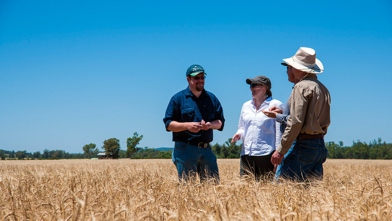 Bellfield Brewery first in the UK to trial new gluten-free barley