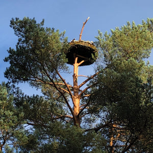 An osprey platform.