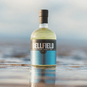 70cl bottle of Scottish Craft Gin in shallow water.